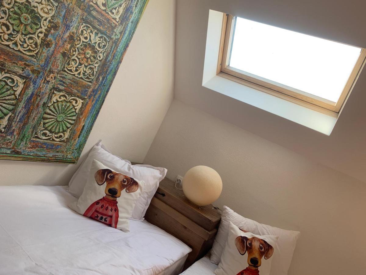 Charming apartment in the heart of Bansko/ Free Equipment Buitenkant foto
